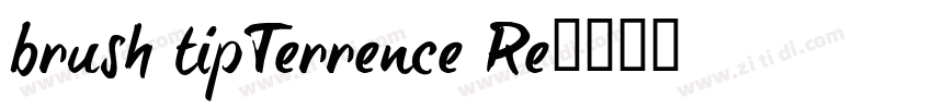 brush tipTerrence Re字体转换